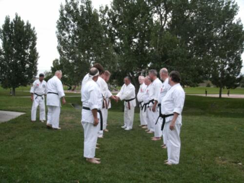 Sensei Box teaching hand techniques