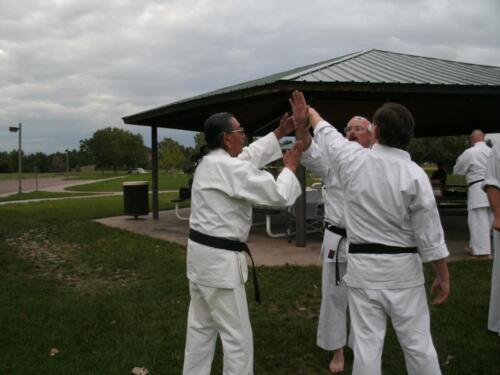 Sensei Box teaching hand techniques