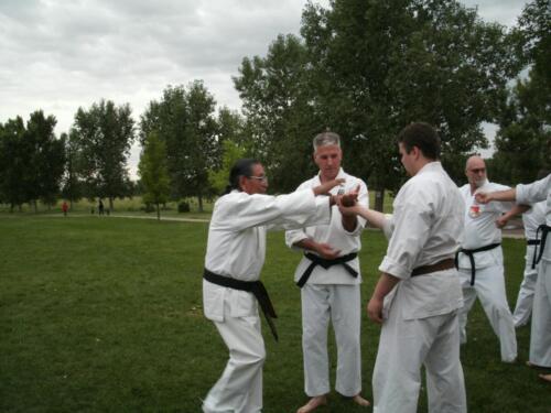 Sensei Box teaching hand techniques