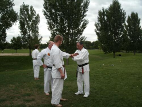 Sensei Box teaching hand techniques