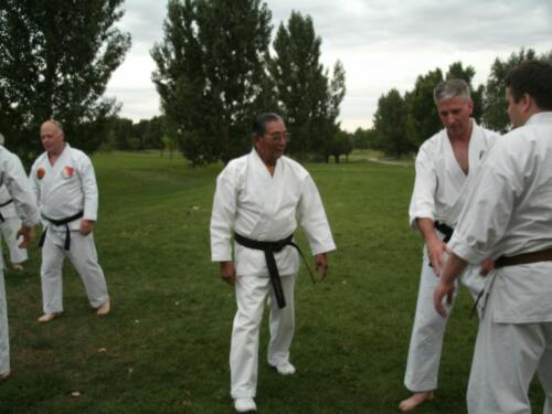 Sensei Box teaching hand techniques