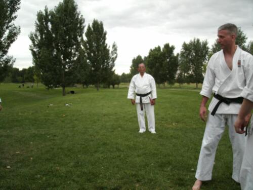 Sensei Box teaching hand techniques